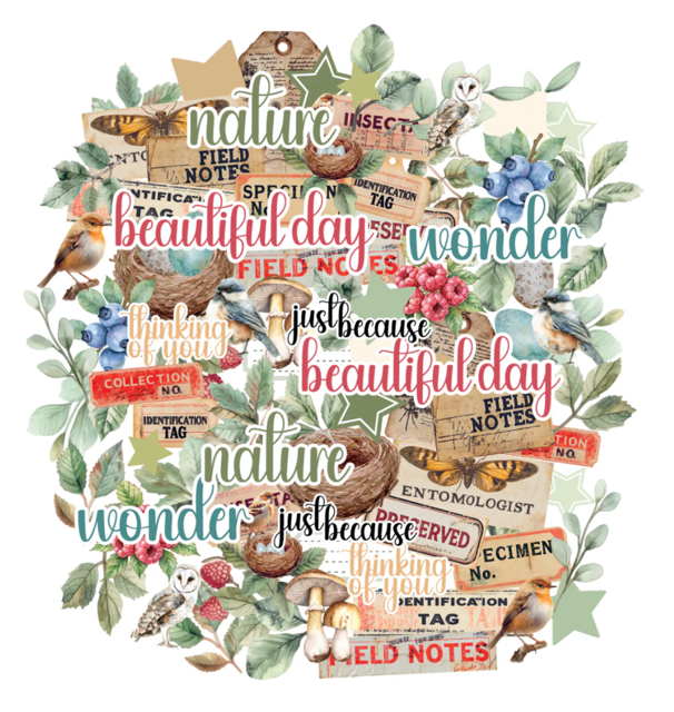 Uniquely Creative Botanical Chronicals Creative Cuts