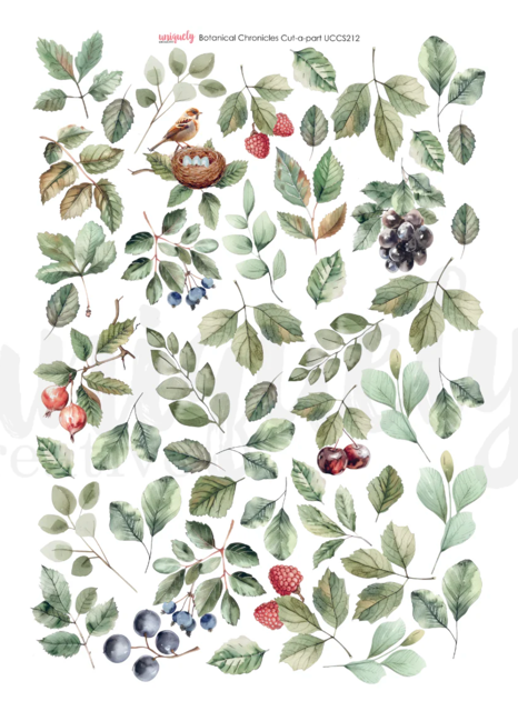 Uniquely Creative Botanical Chronicles Cut-a-parts
