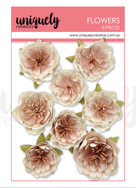 Uniquely Creative Whisper Bloom Flowers